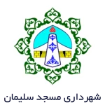 Mis Logo